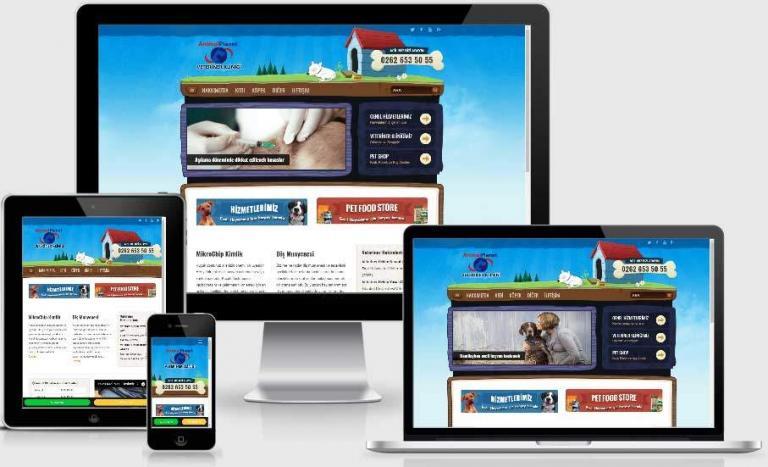animal planet veteriner web tasarım